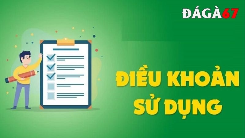 Điều kiện điều khoản là gì?