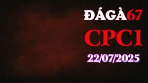 Full Clip Đá Gà 67 C1 Hôm Nay Ngày 22/07/2025