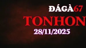 [ Gà Đá Giải ] Xem Lại Trực Tiếp Đá Gà Tonhon Hôm Nay 28112025 Chuẩn HD