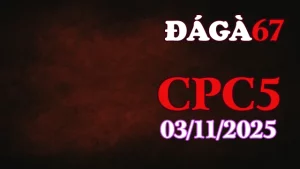 Xem full video đá gà C5 Thomo ngày 03/11/2025