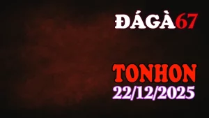 Clip trực tiếp đá gà Tonhon ngày 22122025 full trận