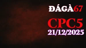 Video Đá Gà CPC5 21122025 Trực Tiếp Chuẩn HD