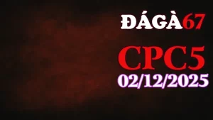 Video Phát Lại Đá Gà CPC5 Hôm Nay 02122025 - Xem Các Pha Hành Động