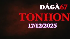 Video phát lại đá gà trực tiếp Tonhon 17122025