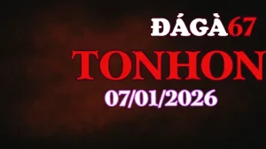 Trực Tiếp Đá Gà Tonhon Hôm Nay 07012026 Không Gián Đoạn