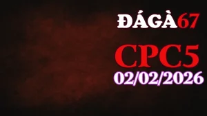 Video trực tiếp đá gà CPC5 hôm nay ngày 02022026