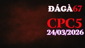 Full clip đá gà trực tiếp CPC5 Thomo ngày 24032026