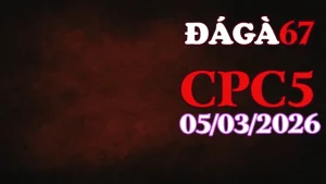 Xem video đá gà trực tiếp CPC5 05032026 – Trận gà Thomo kịch tính